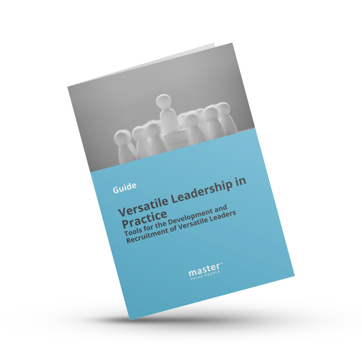 Cover of Versatile Leadership in Practice