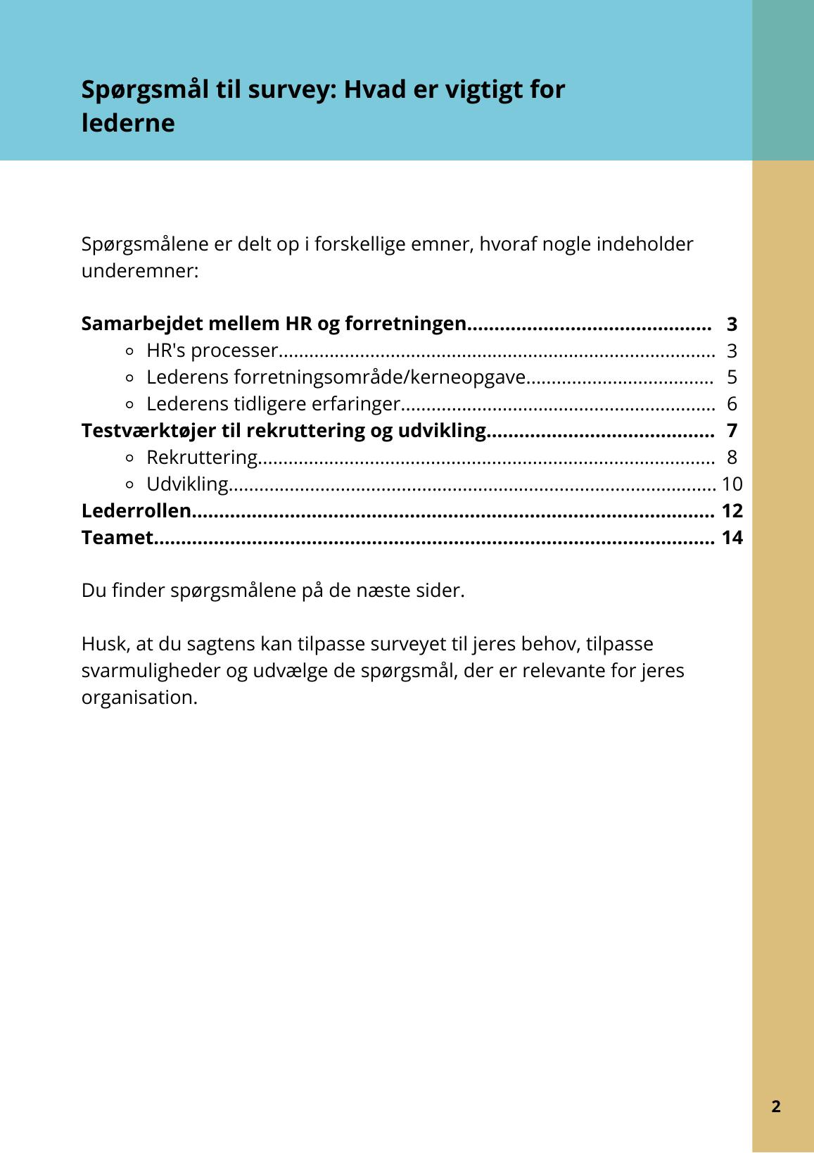 Side 3 af 3 af templaten Survey til lederne